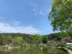 -铁山坪森林公园