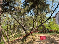 -元大都城垣遗址公园