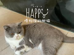 -盛邦家居建材广场