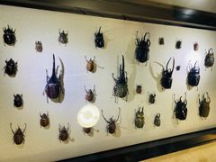 -燕莎友谊商城(亮马桥店)