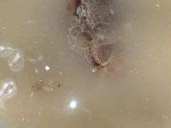 -金汇酒楼(中山东区店)