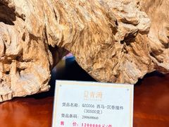 -香市公园-中国沉香文化博物馆