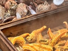 -东方红海鲜百汇(国际大厦店)