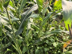 -乡乐园蟹庄·阳澄湖农家乐