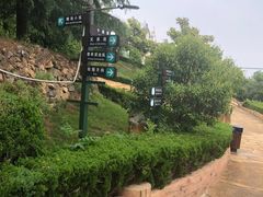 -东方熊牧场