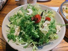 凉拌苦菊-呱呱叫民俗风味主题餐厅(沣峪口店)