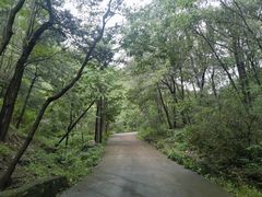 -老象峰