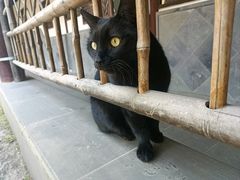-无锡梅园公园