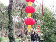 -汇龙潭