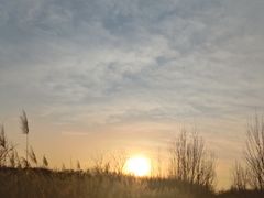 -天津东丽湖风景区