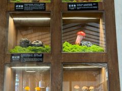 -菌自由丨野生菌火锅特色庭院餐厅(丽江古城店)