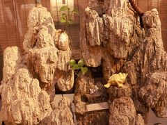 -山水悦茶会所(上海沙龙新天地天宝商业中心店)