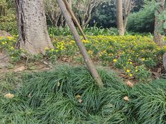 -八仙山公园