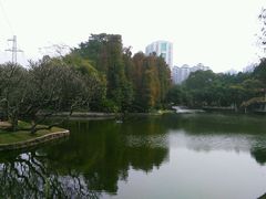 -晓港公园