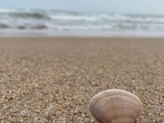-汕头中海黄金海岸水上乐园