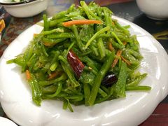 -泸沽肴(泸沽湖大洛水村农村信用社旁店)