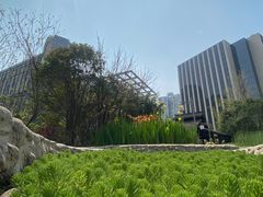 -活水公园