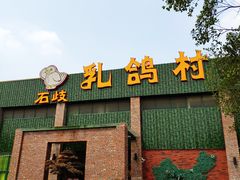 -石岐乳鸽村(南海第三分店)