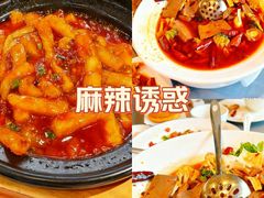 -凯华海鲜火锅·传承三十六年