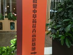-荷兰花海