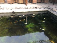 -京北渔家傲