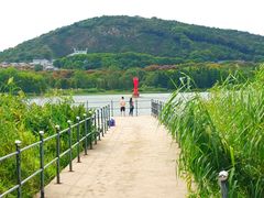 -长广溪湿地公园