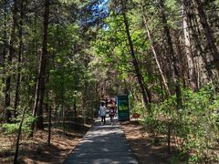 -帽儿山国家森林公园