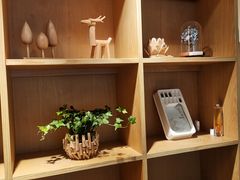 -左悦·艾灸调理·推拿按摩·精油SPA(卓悦汇店)