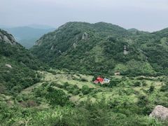 -大姆山草场