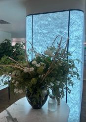 -月幸福月子中心(静安店)