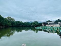 -徽州美食(三十年老店)