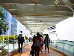 -香港大学
