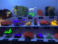 -湖南省地质博物馆