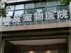 -顽皮家族宠物医院(浦东北园路分院)
