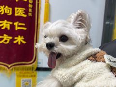 -嘉馨宠物医院·CT影像转诊·心脏科·犬猫全科诊疗中心(下沙大学城院区)