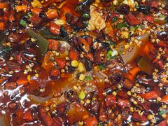 -雲蜀龙阁·金牌水煮鱼(方庄店)