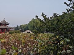 -莲池书院博物馆