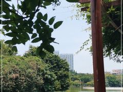 -东湖公园