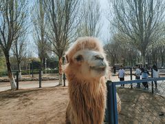 -长白岛森林公园