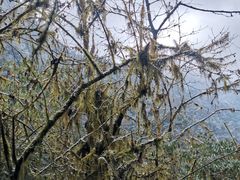 -西岭雪山大飞水景区