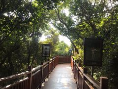 -亚龙湾热带天堂森林公园