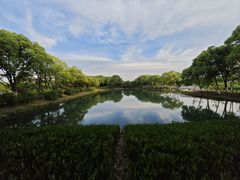 -金银湖国家城市湿地公园