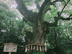 -热田神宫