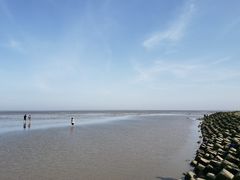 -南汇嘴观海公园