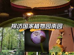 -国家植物园南园