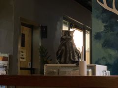 -咖法森林·咖啡  酒吧(天河店)