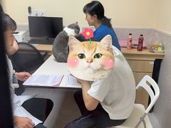 -谐和贝康宠物医院24小时·宠保定点(急重症转诊中心)
