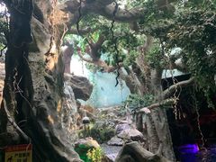 -多彩贵州城极地海洋世界