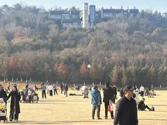 -羊山湖公园