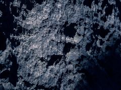-菌之家·专业纯野生菌火锅·特色炒菌